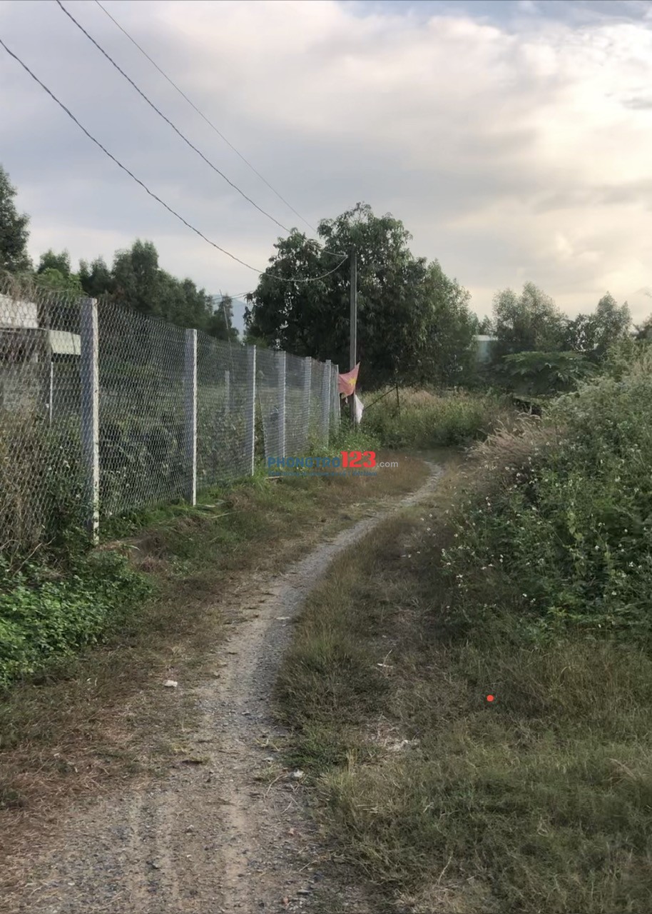 THUÊ NHÀ (Nguyên căn ) Nhà cấp 4 . Điện nước đầy đủ