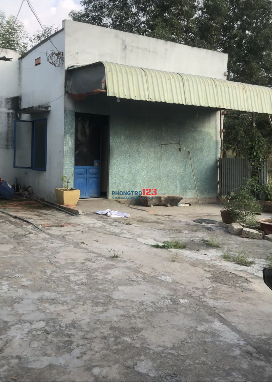 THUÊ NHÀ (Nguyên căn ) Nhà cấp 4 . Điện nước đầy đủ