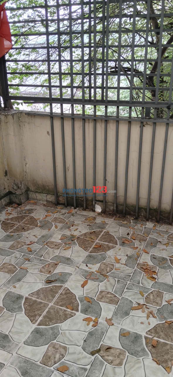 Cho thuê nhà nguyên căn – 1 trệt 1 lầu – Hẻm 532 Lê Trọng Tấn Tây Thạnh Tân Phú