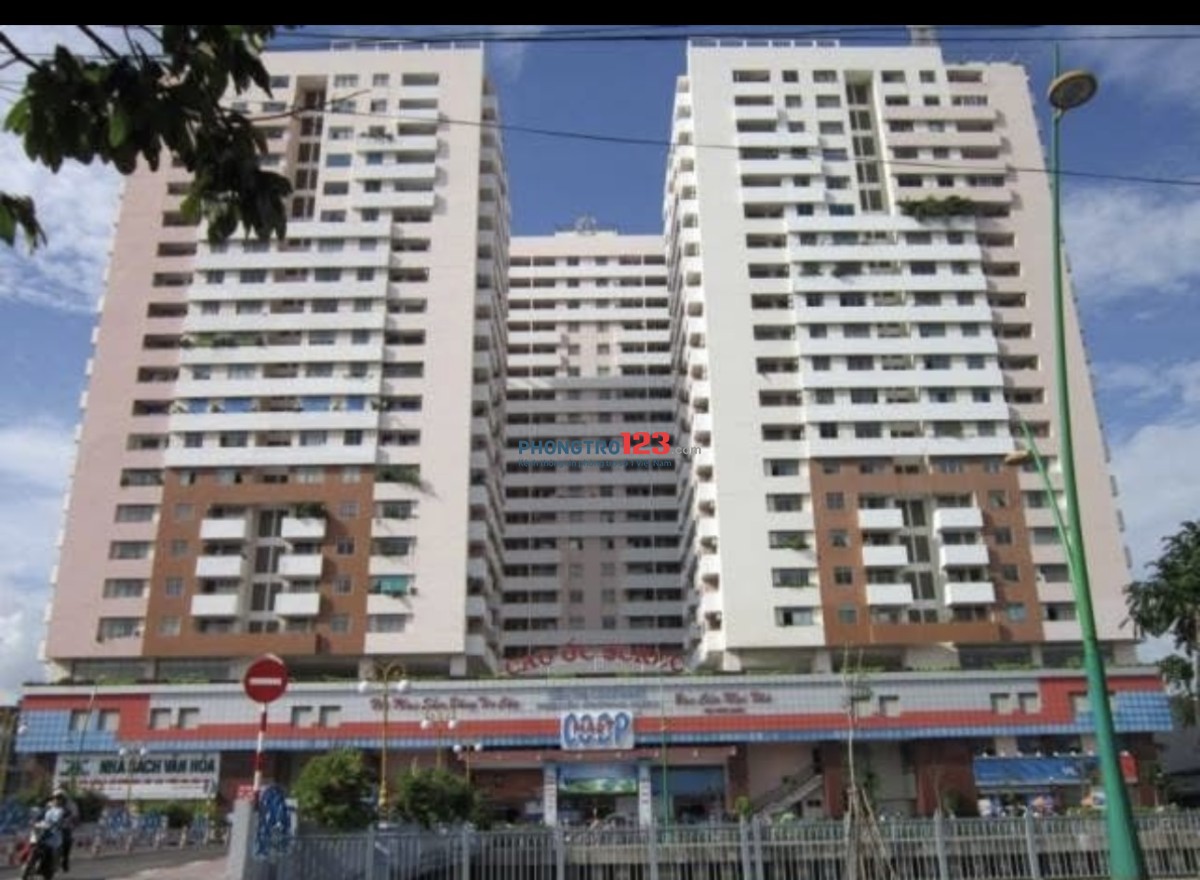 Share phòng master trong chung cư Screc coopmart Nhiêu Lộc gia 4tr5 đầy đủ nội thất