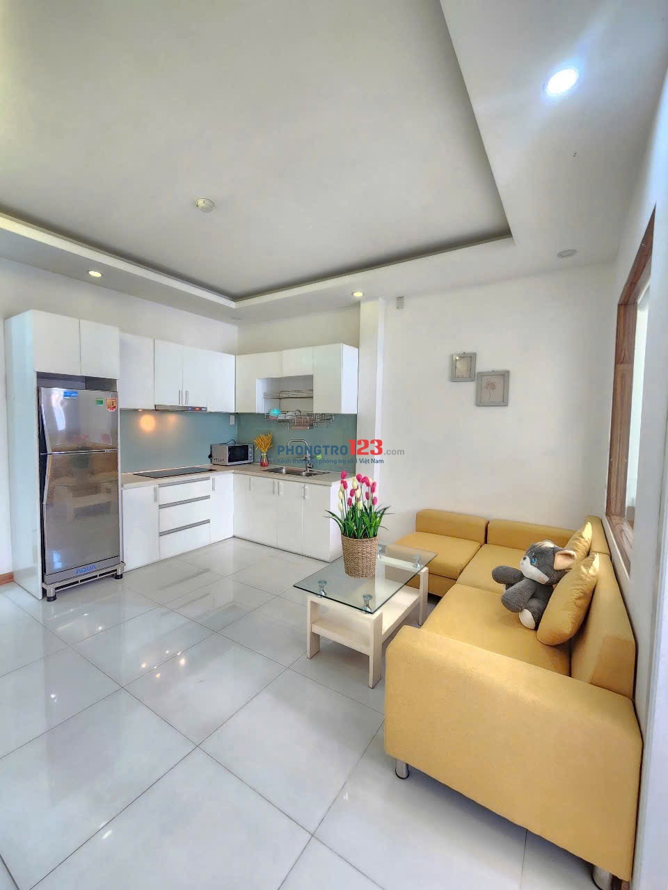 Cho thuê căn hộ 1PN máy giặt riêng Nguyễn Trãi Quận 1 gần Chợ Bến Thành