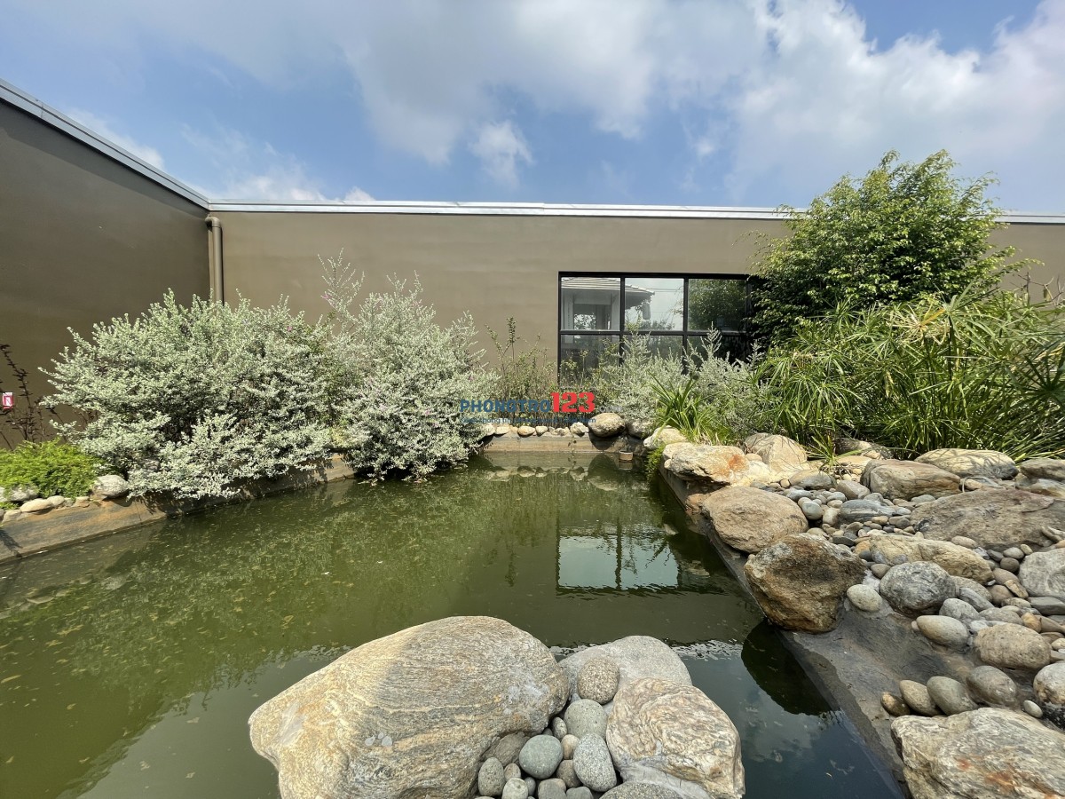 CHO THUÊ MẶT BẰNG RỘNG, CÓ SẴN BỐI CẢNH SÂN VƯỜN