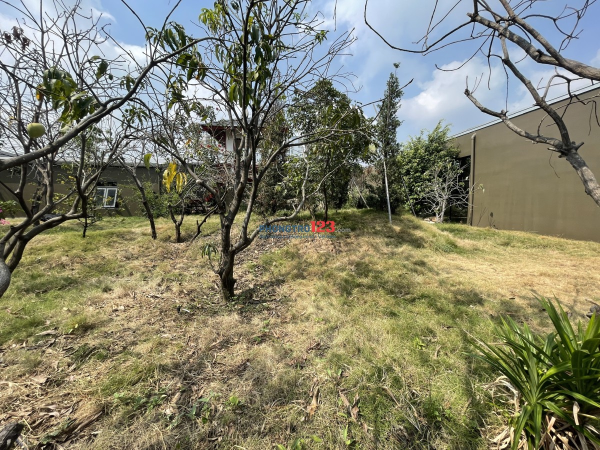 CHO THUÊ MẶT BẰNG RỘNG, CÓ SẴN BỐI CẢNH SÂN VƯỜN