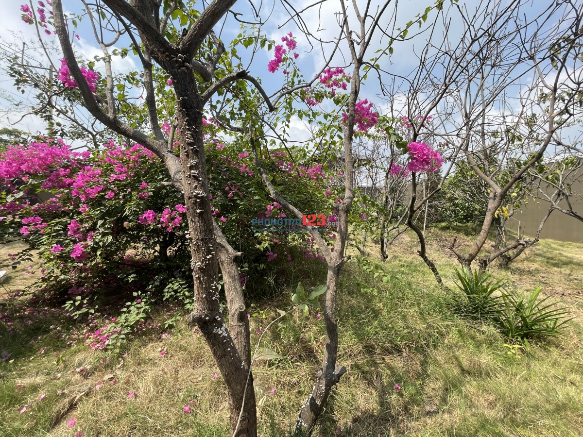 CHO THUÊ MẶT BẰNG RỘNG, CÓ SẴN BỐI CẢNH SÂN VƯỜN