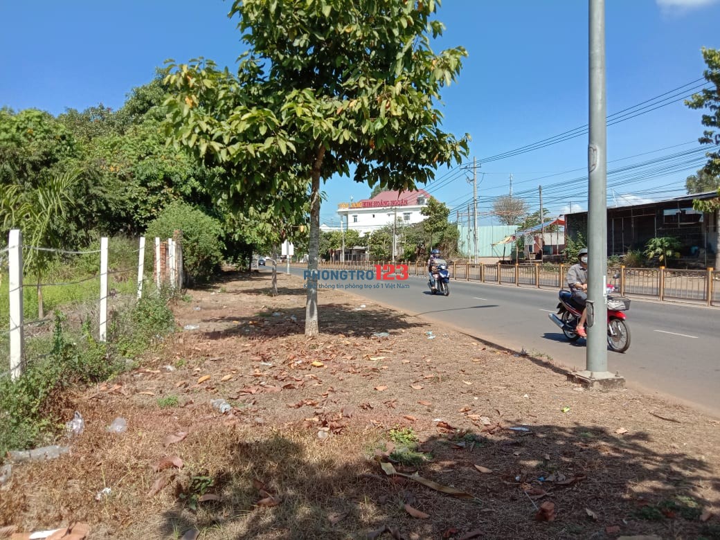 Cho thuê mặt tiền kinh doanh Hồ Thị Hương, sát nhà hàng Sunshine, thuận tiện kinh doanh đa ngành