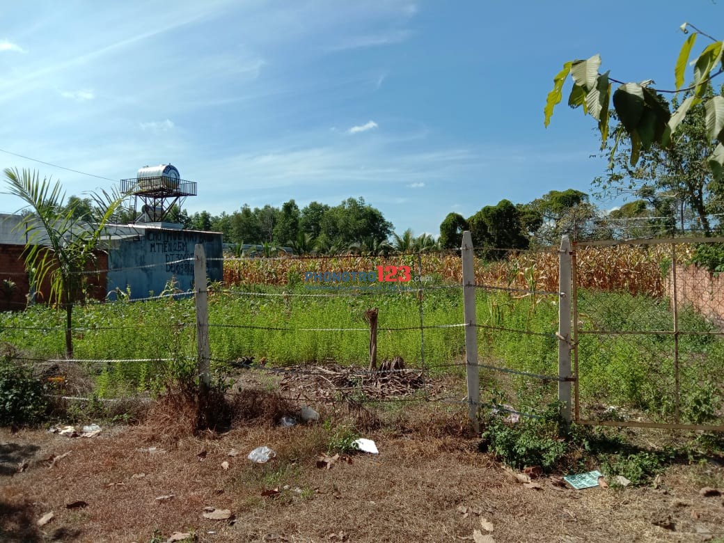 Cho thuê mặt tiền kinh doanh Hồ Thị Hương, sát nhà hàng Sunshine, thuận tiện kinh doanh đa ngành