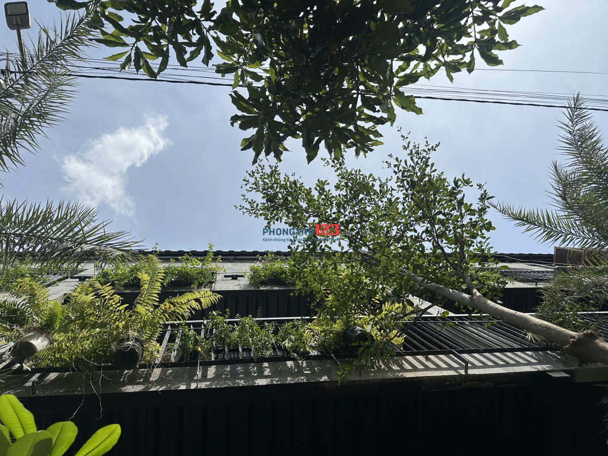 Cho thue phòng trọ - Homestay full nội thất giá sinh viên