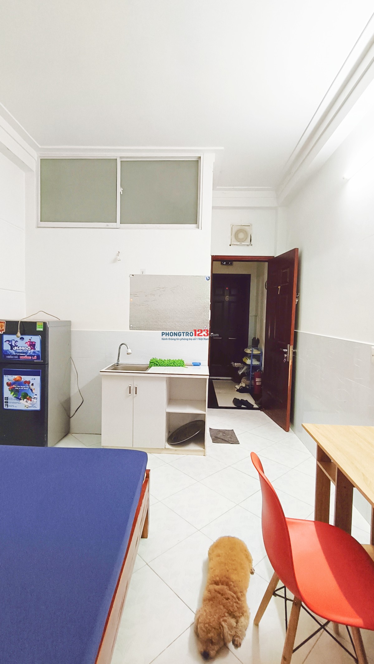 Phòng TT Q10 Full NT, Tiện Ích - Giá Hấp Dẫn