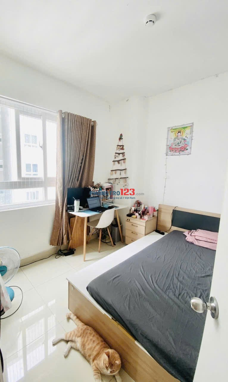 Chung cư Topaz Garden, Trịnh Đình Thảo, TP: 75m2, 2pn, có NT, 9triệu