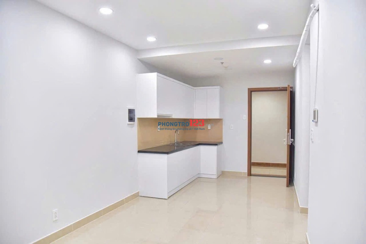 Chung cư Topaz Garden, Trịnh Đình Thảo, TP: 2p ngủ, nhà mới, NTCB, 9tr/tháng