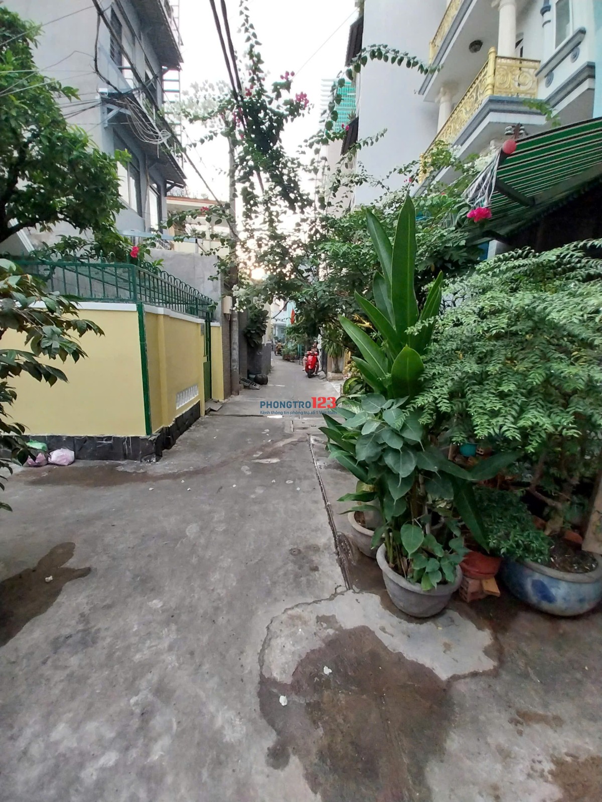  PHÚ NHUẬN- NHÀ CHO THUÊ NGUYÊN CĂN – ƯU TIÊN HỘ GIA ĐÌNH