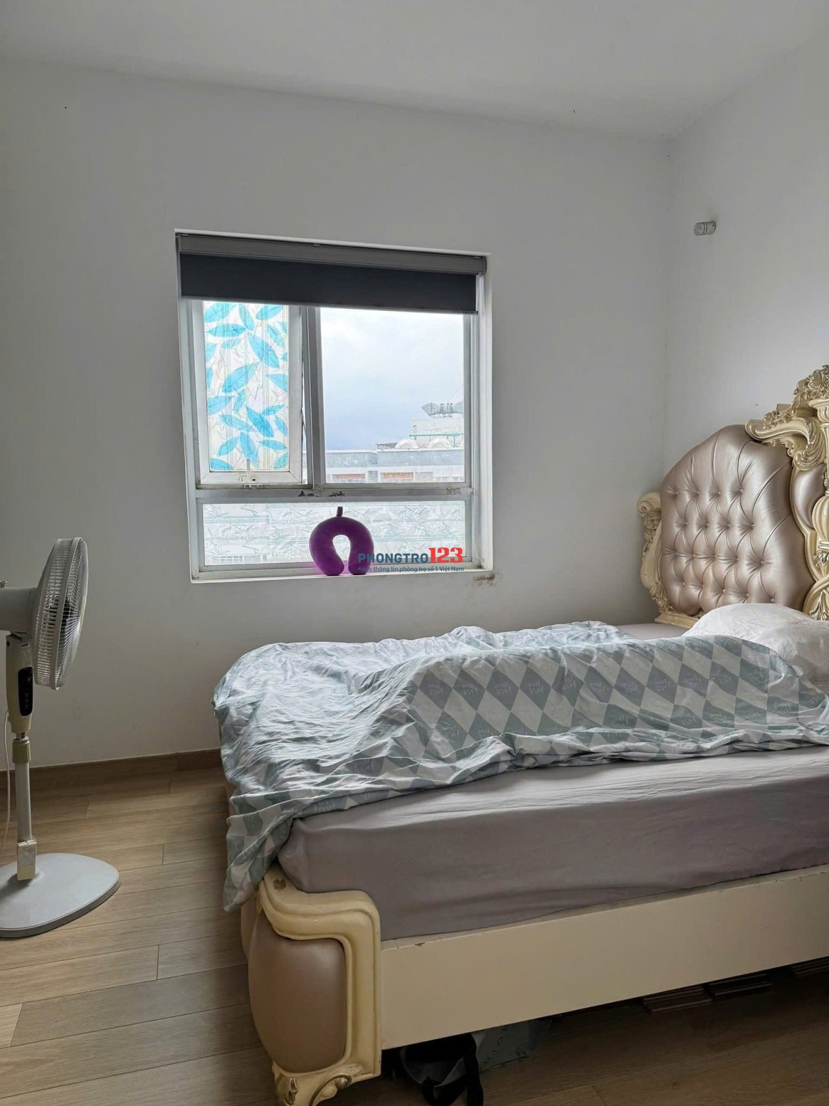 C/c Ruby Garden, Nguyễn Sỹ Sách, TB, 80m2, 2PN, 2WC, Nhà mới, 10tr/th.