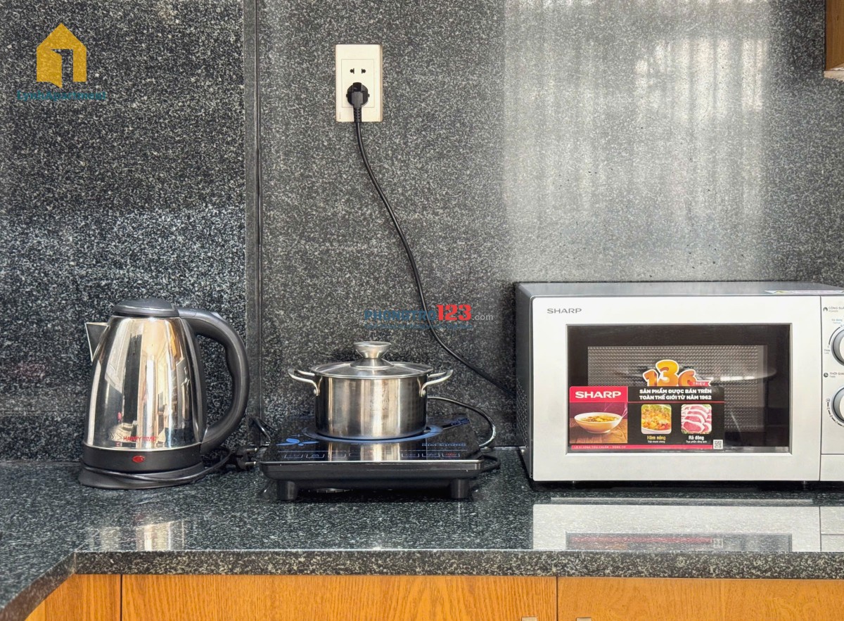 Cho thuê căn hộ 1PN ban công, tách bếp – Phạm Viết Chánh, Q1, gần ĐH KHTN, ĐH Sài Gòn