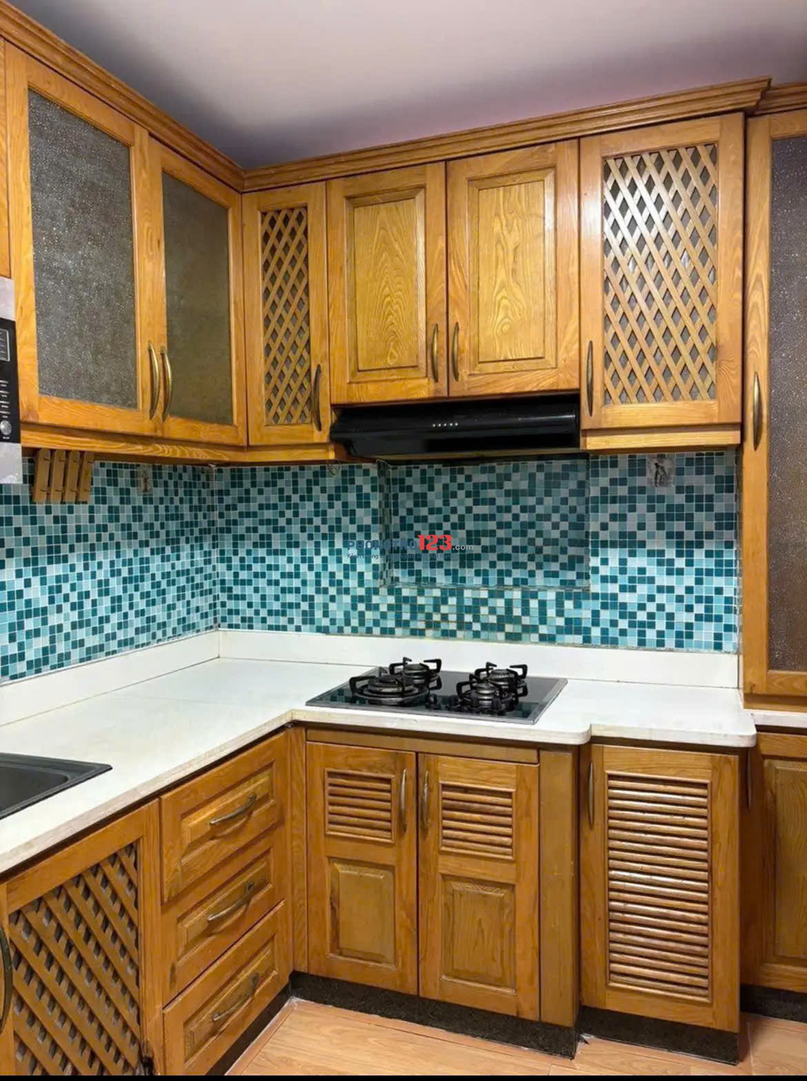 Chung cư Screc, Trường Sa, Quận 3, 87m2, 2PN, Căn Góc, 13tr/tháng.