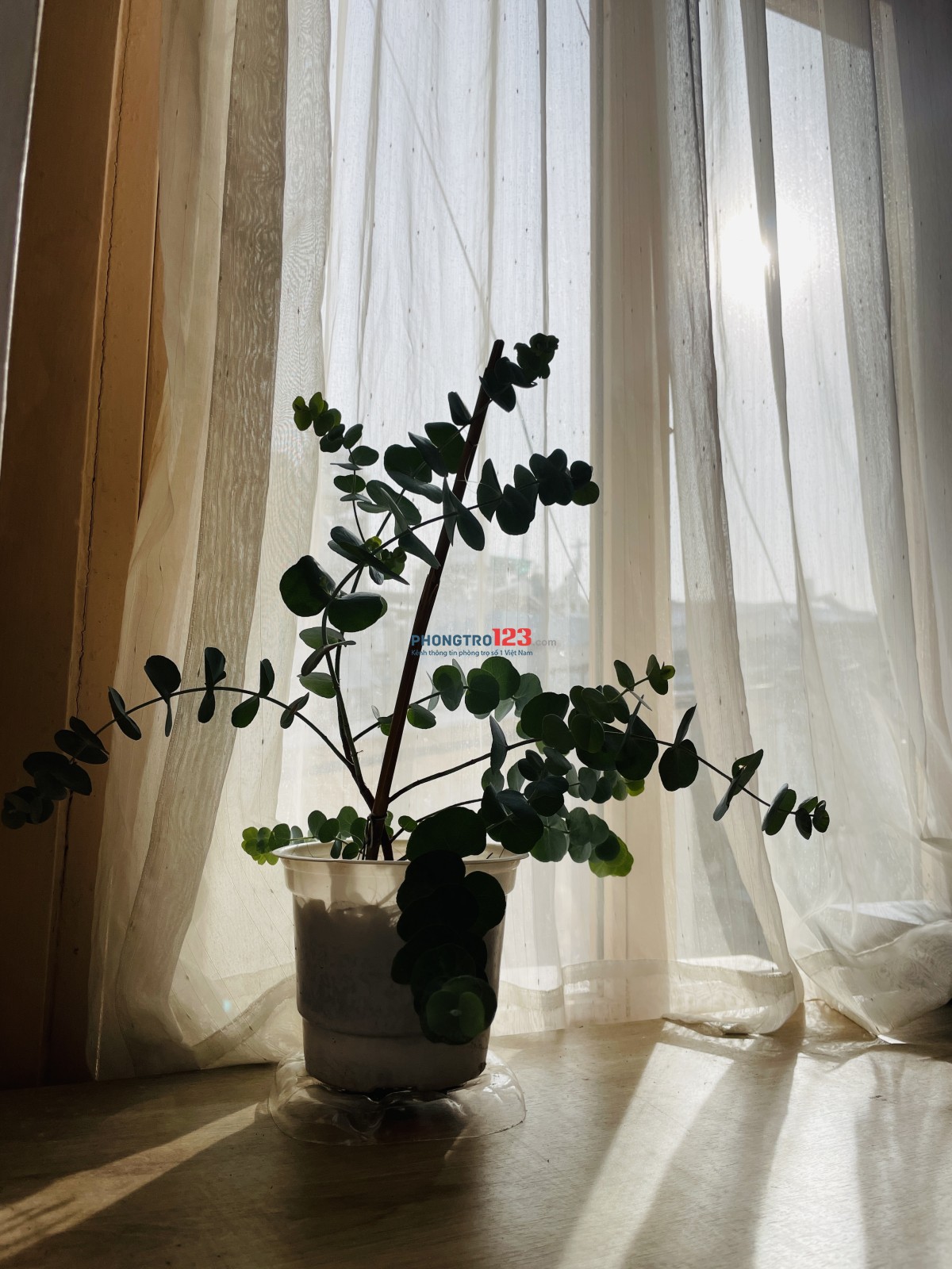 Phòng tách bếp - logia siêu rộng