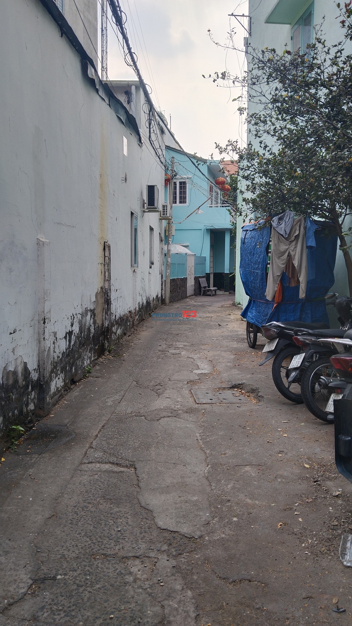 Cho thuê nhà nguyên căn bình thạnh