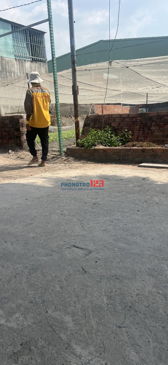 Tìm nam ở ghép tại phường trảng dài , biên hoà , đồng nai