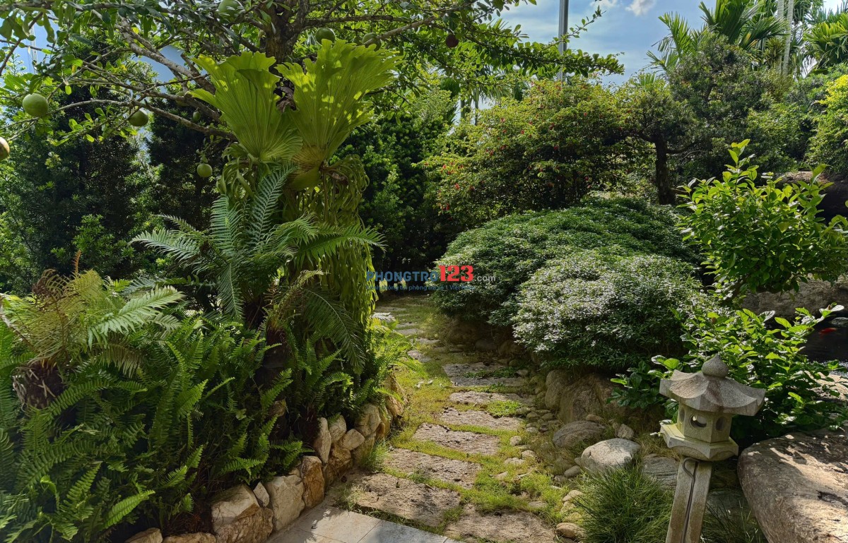 CHO THUÊ PHÒNG RIÊNG TRONG VILLA TẠI CỦ CHI - GIÁ TRỌN GÓI