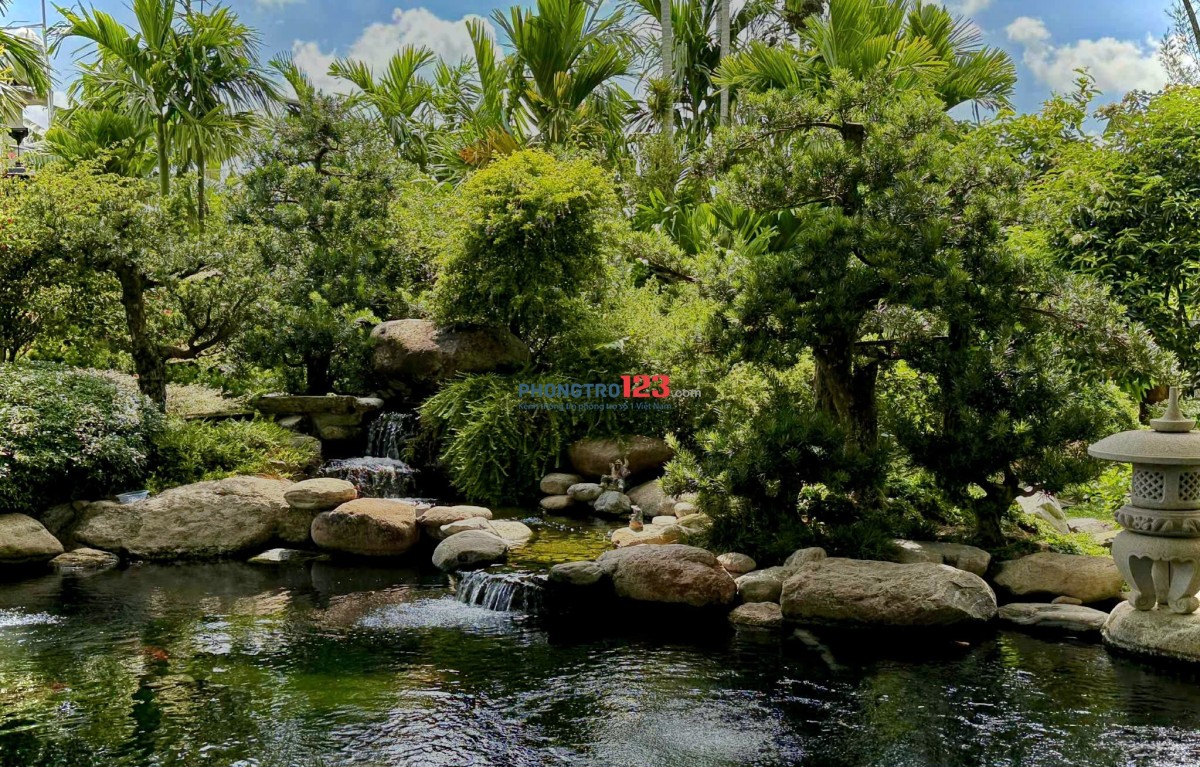 CHO THUÊ PHÒNG RIÊNG TRONG VILLA TẠI CỦ CHI - GIÁ TRỌN GÓI