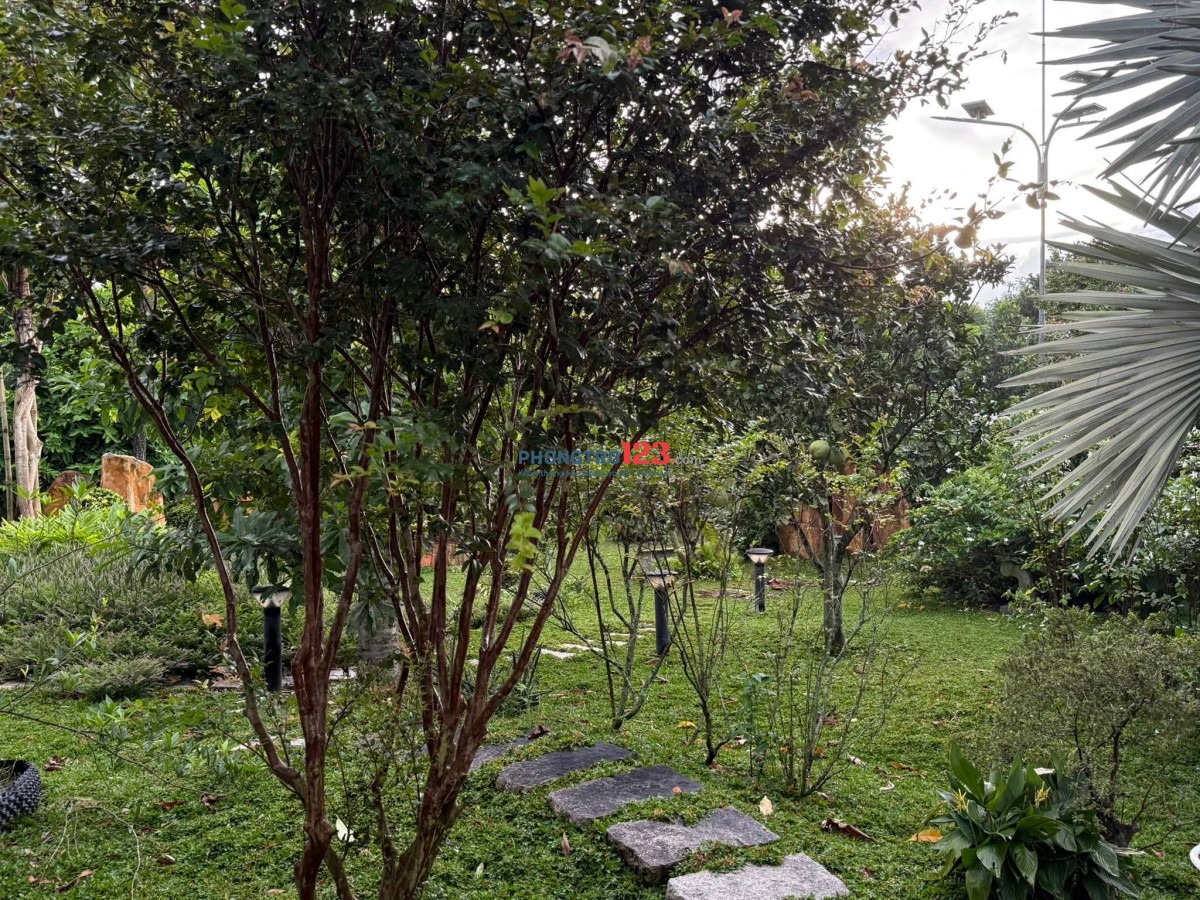 CHO THUÊ PHÒNG RIÊNG TRONG VILLA TẠI CỦ CHI - GIÁ TRỌN GÓI