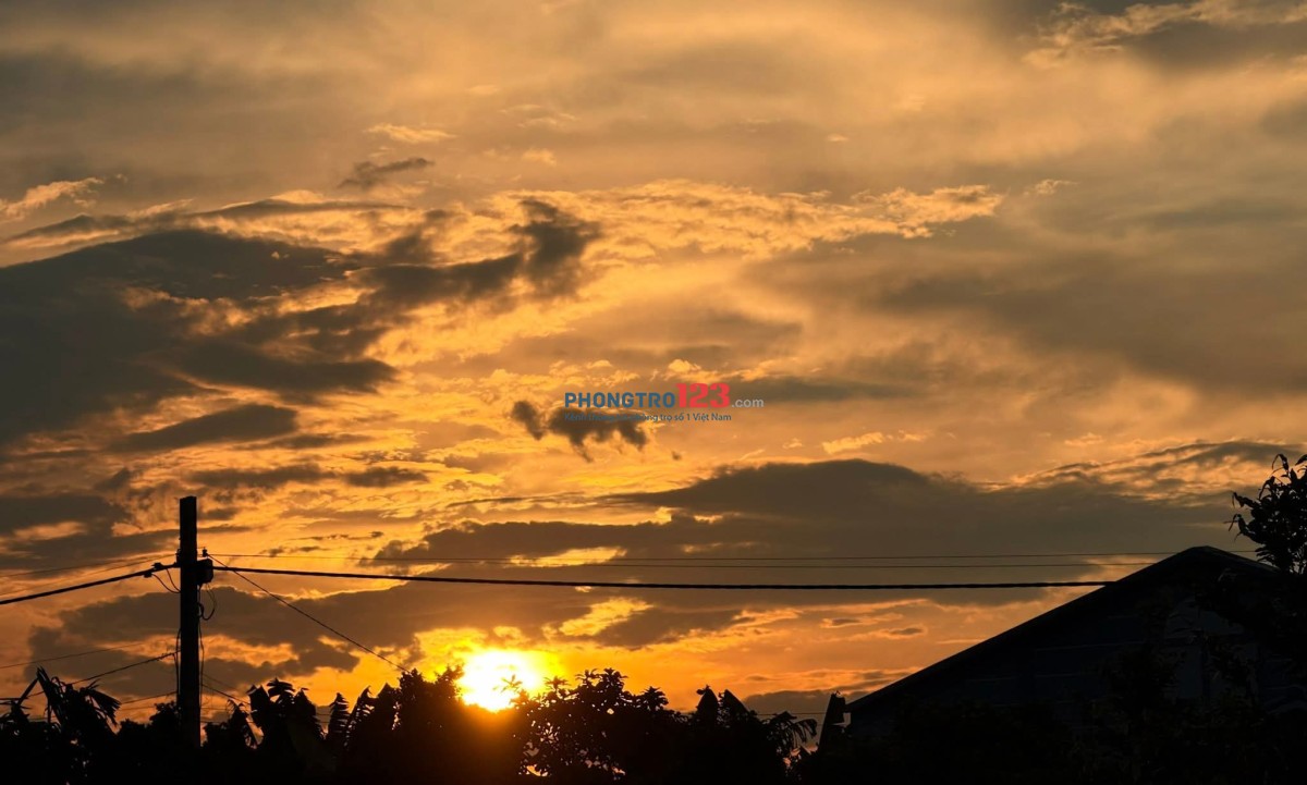 CHO THUÊ PHÒNG RIÊNG TRONG VILLA TẠI CỦ CHI - GIÁ TRỌN GÓI