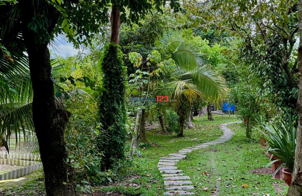 CHO THUÊ PHÒNG RIÊNG TRONG VILLA TẠI CỦ CHI - GIÁ TRỌN GÓI