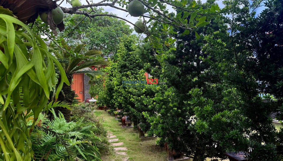 CHO THUÊ PHÒNG RIÊNG TRONG VILLA TẠI CỦ CHI - GIÁ TRỌN GÓI