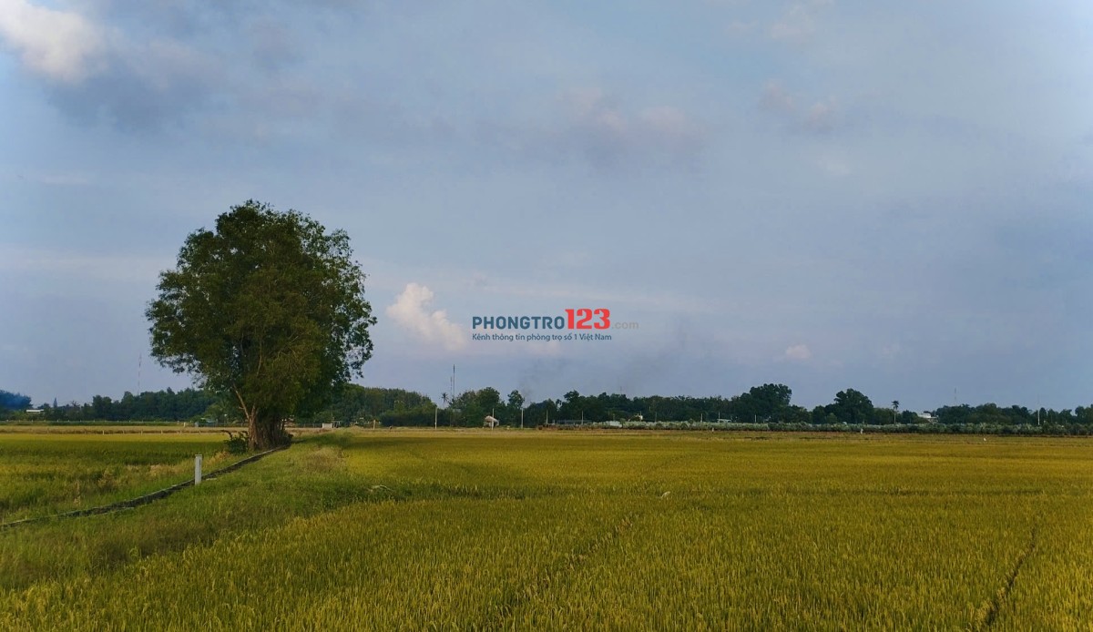 CHO THUÊ PHÒNG RIÊNG TRONG VILLA TẠI CỦ CHI - GIÁ TRỌN GÓI