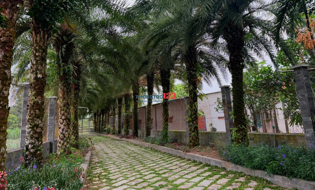 CHO THUÊ PHÒNG RIÊNG TRONG VILLA TẠI CỦ CHI - GIÁ TRỌN GÓI