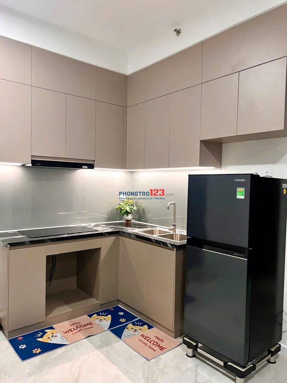 Chung cư Mỹ Phước, Bùi Hữu Nghĩa, BT: 60m2, 1p ngủ, 1wc, 8tr5/tháng