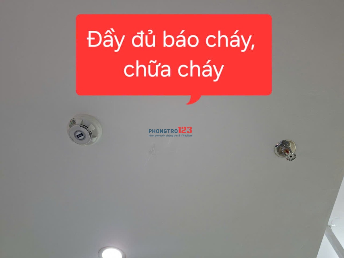 ​ KHAI TRƯƠNG CCMN MỚI - GẦN ĐH ĐẠI NAM, ĐIỆN LỰC 