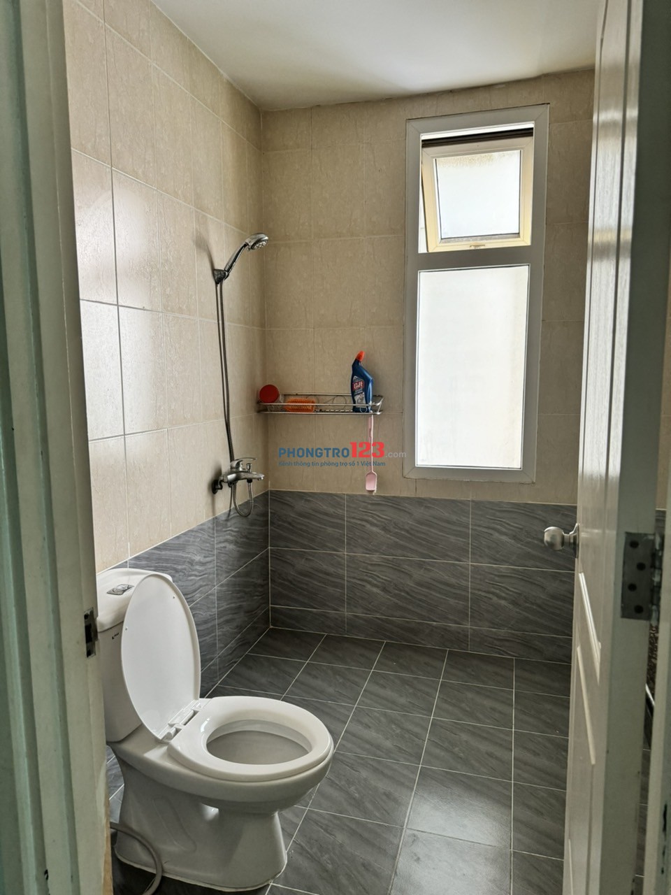 Cho thuê căn hộ chung cư carina plaza