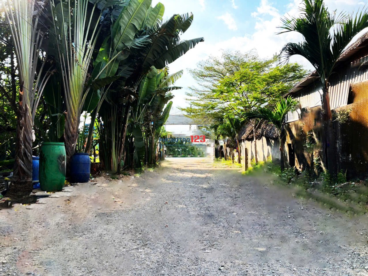 PHÒNG TRỌ GIÁ RẺ - RỘNG - GẦN CHỢ VÀ TRƯỜNG HỌC - CHỈ 1.800.000 ĐỒNG / PHÒNG