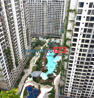 Cho thuê căn hộ 1 Phòng Ngủ Masteri Centre Point