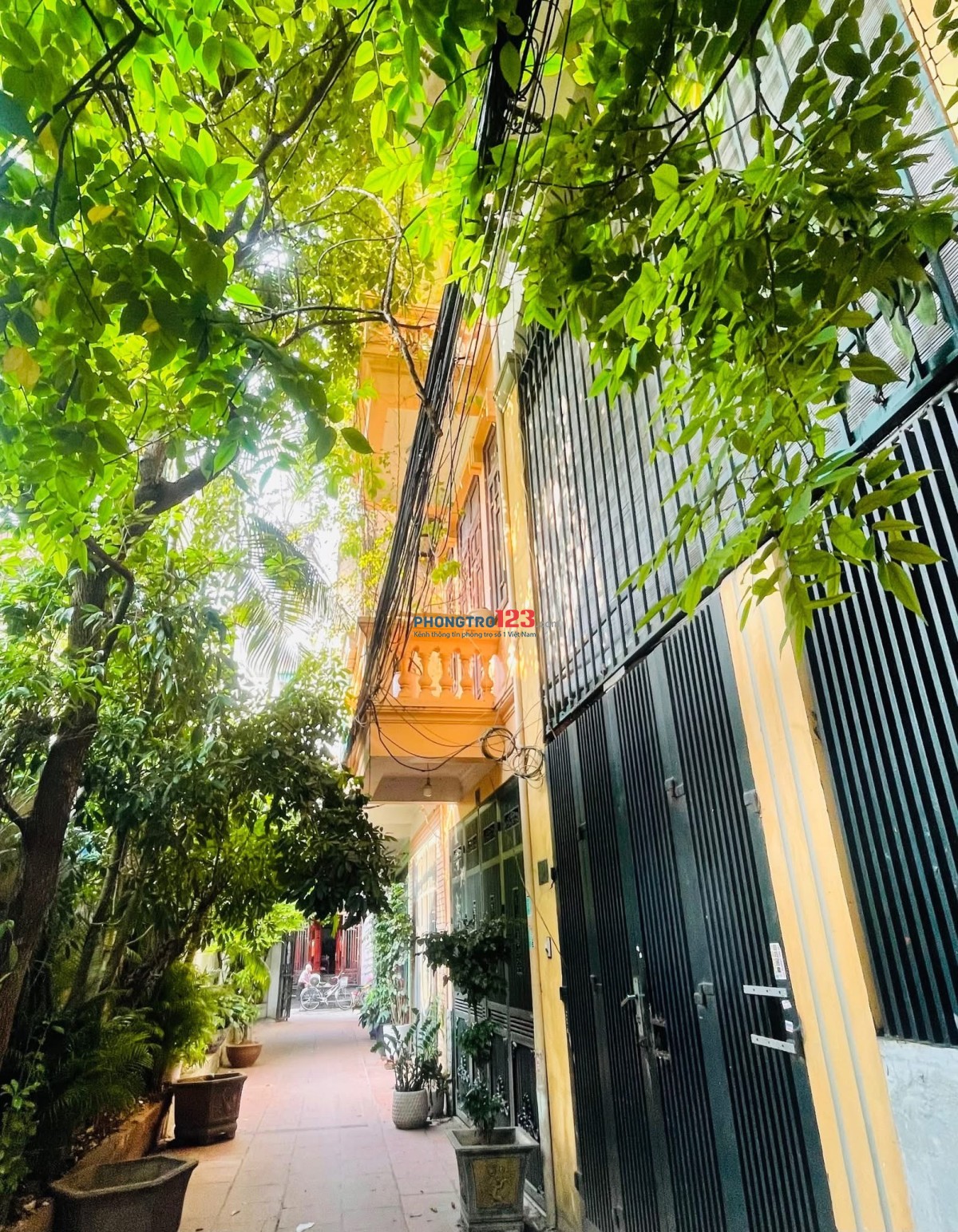 CHỐT GẤP PHÒNG XINH SÁT HỒ TÂY - NHÀ PHÂN LÔ - GIÁ CHỈ 2.5TR – GIỜ GIẤC TỰ DO 