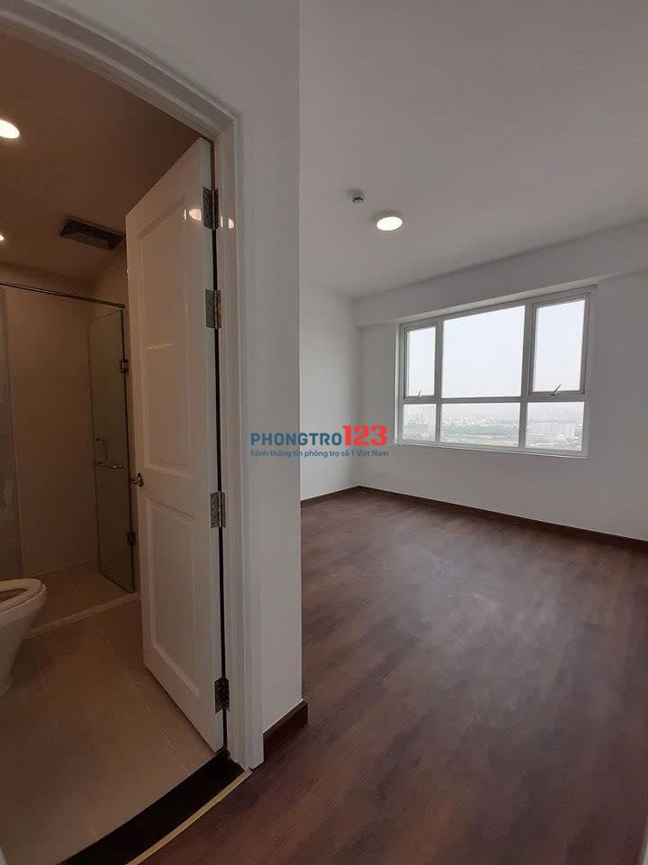 Cho thuê căn 3p ngủ, C/c Mỹ Vinh giá 16tr/th