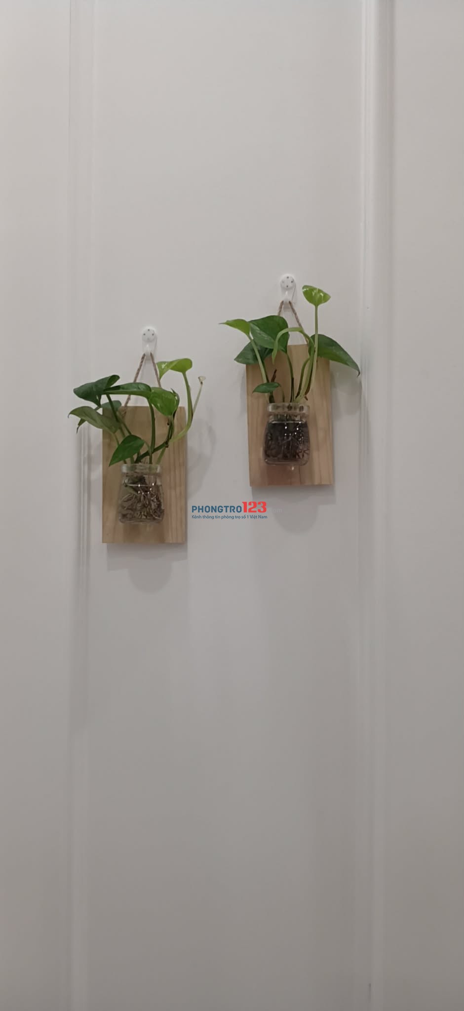 Cho thuê nhà nguyên căn Đan Phượng, Hà Nội