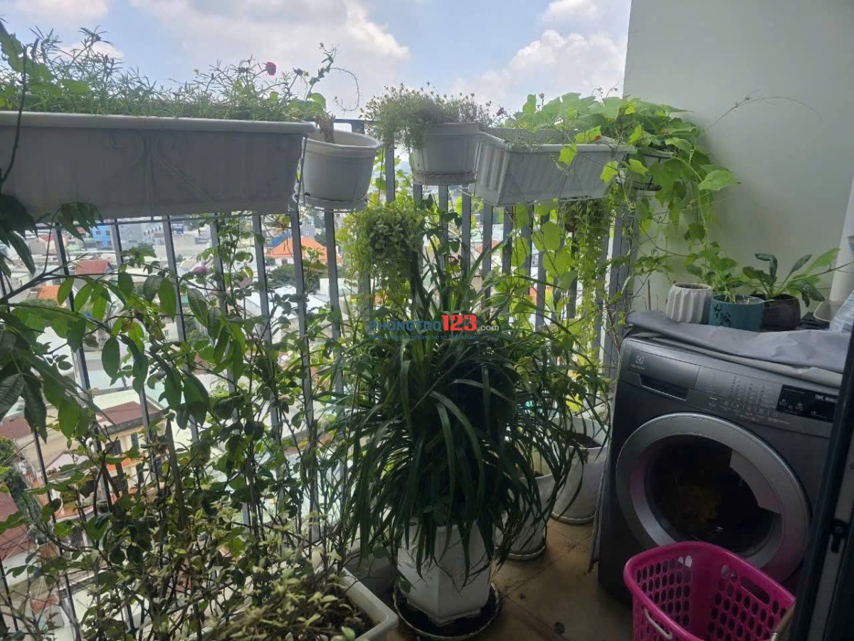 C/c Phúc Yên, Phan Huy Ích, TB, 77m2, Lầu Trung, 2PN, 2WC, giá 10tr/th.