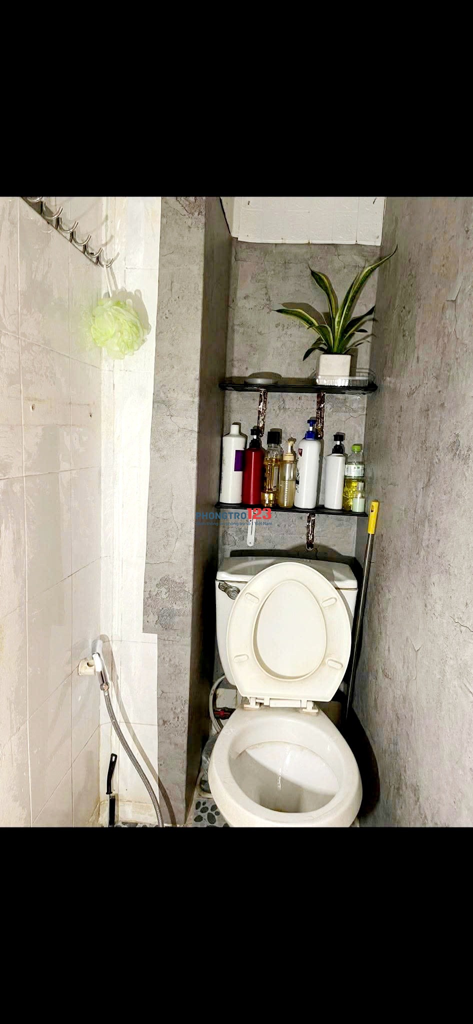 Cho Thuê Phòng Q3, rộng rãi thoải mái. cửa sổ ban công tolet riêng.3tr1