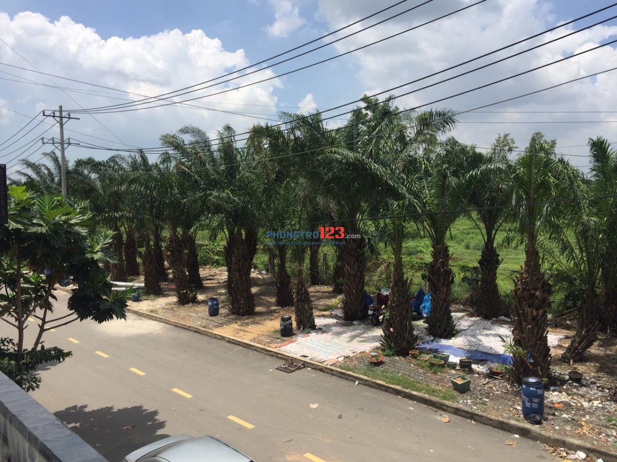 Cho thuê phòng trọ cao cấp khu dân cư Big C (Go) Dĩ An