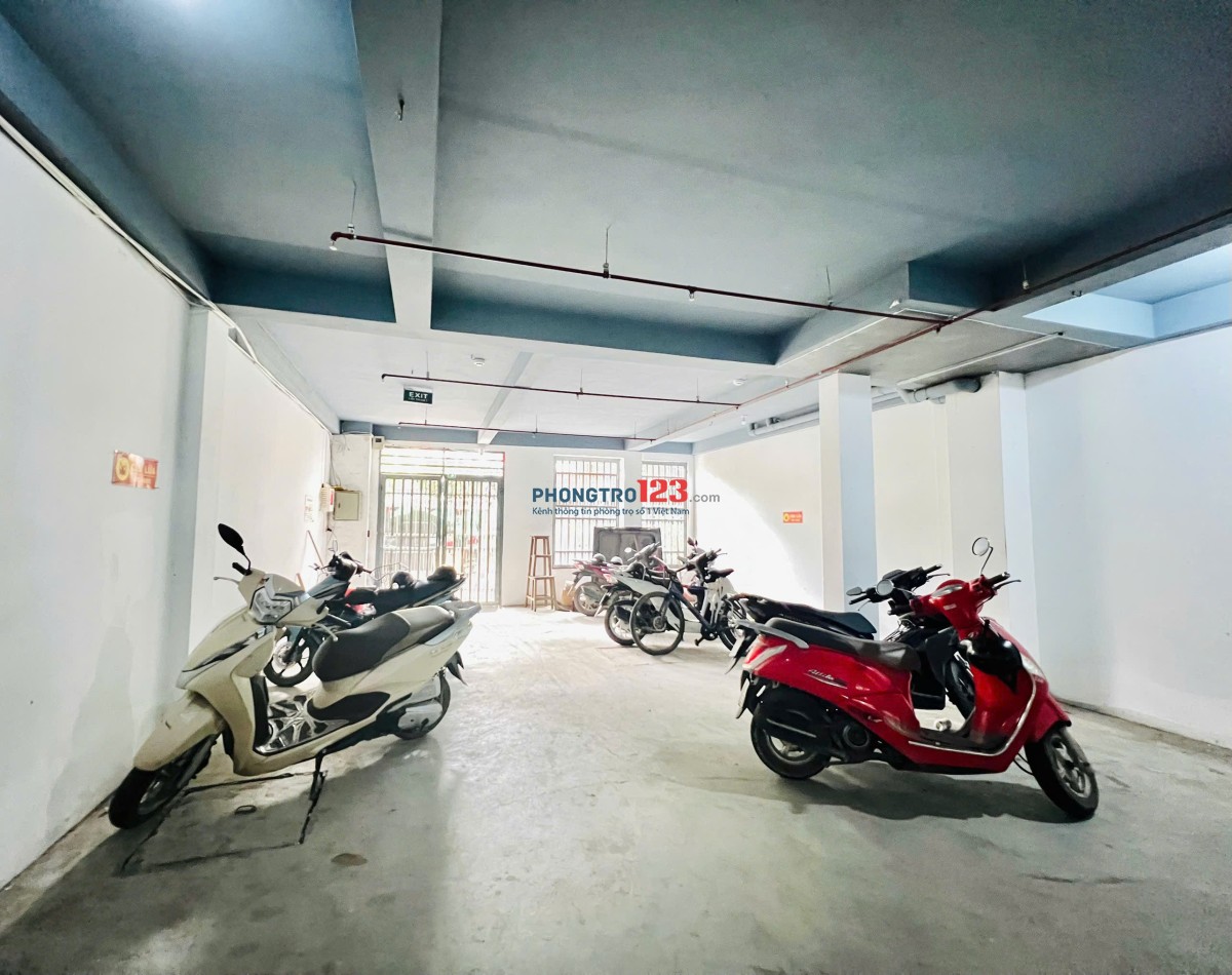 Chính chủ mời thuê CCMN tại Thụy Phương - Bắc Từ Liêm