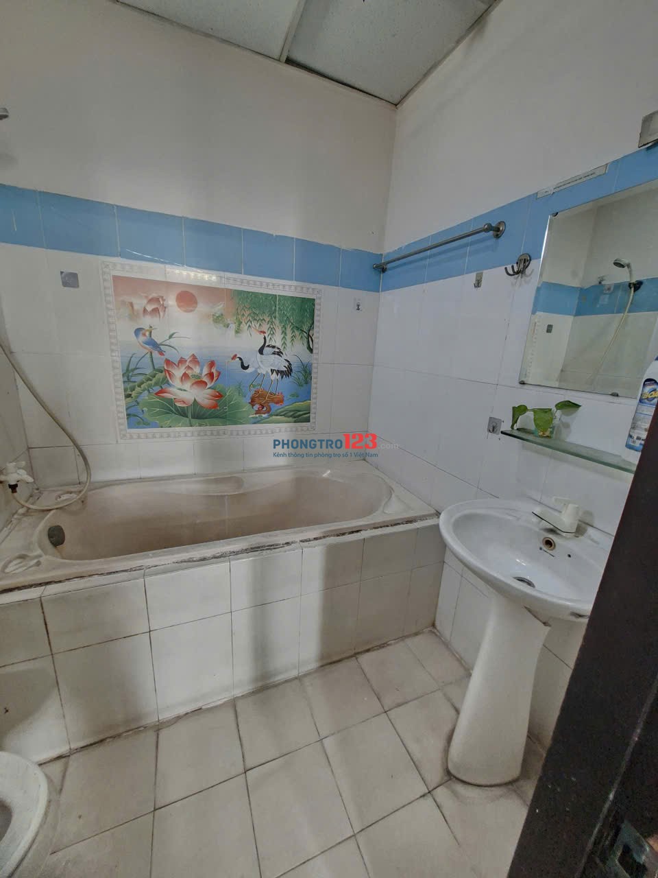 Phòng tiện nghi, thang máy, 2.4tr - ngay Công viên phần mền Quang Trung -Q.12