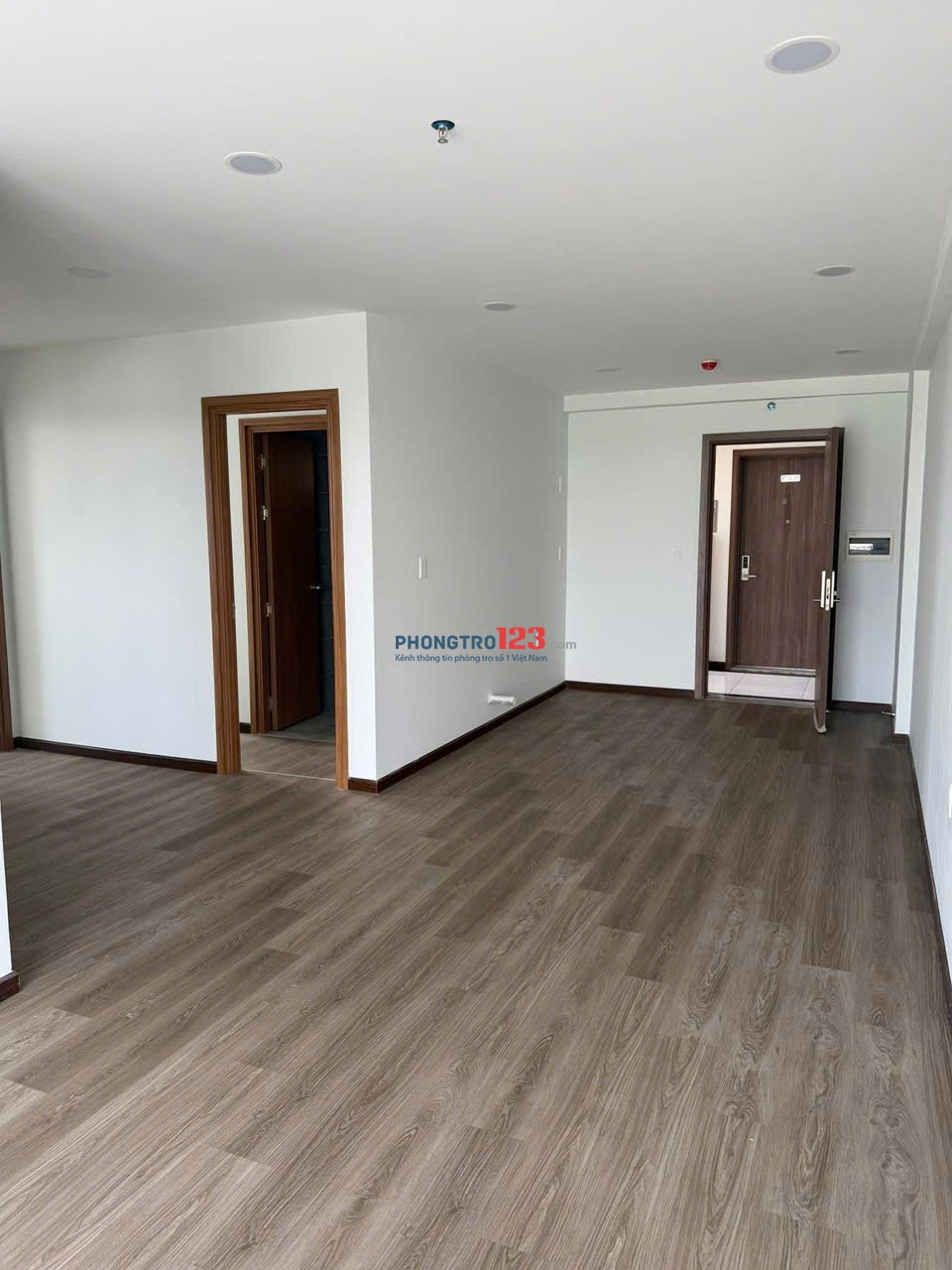 Chung cư Carillon 2, Trịnh Định Thảo, TP: 75m2, nhà trống, 9,5tr, 2PN