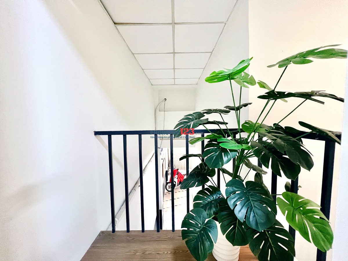 PHÒNG ĐẸP KINH DƯƠNG VƯƠNG, QUẬN BÌNH TÂN