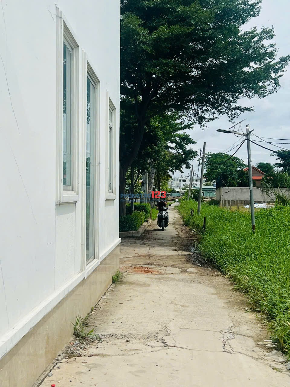 Cho thuê nguyên căn đầy đủ nội thất, máy lạnh, hoặc chỉ góc 3 mặt tiền