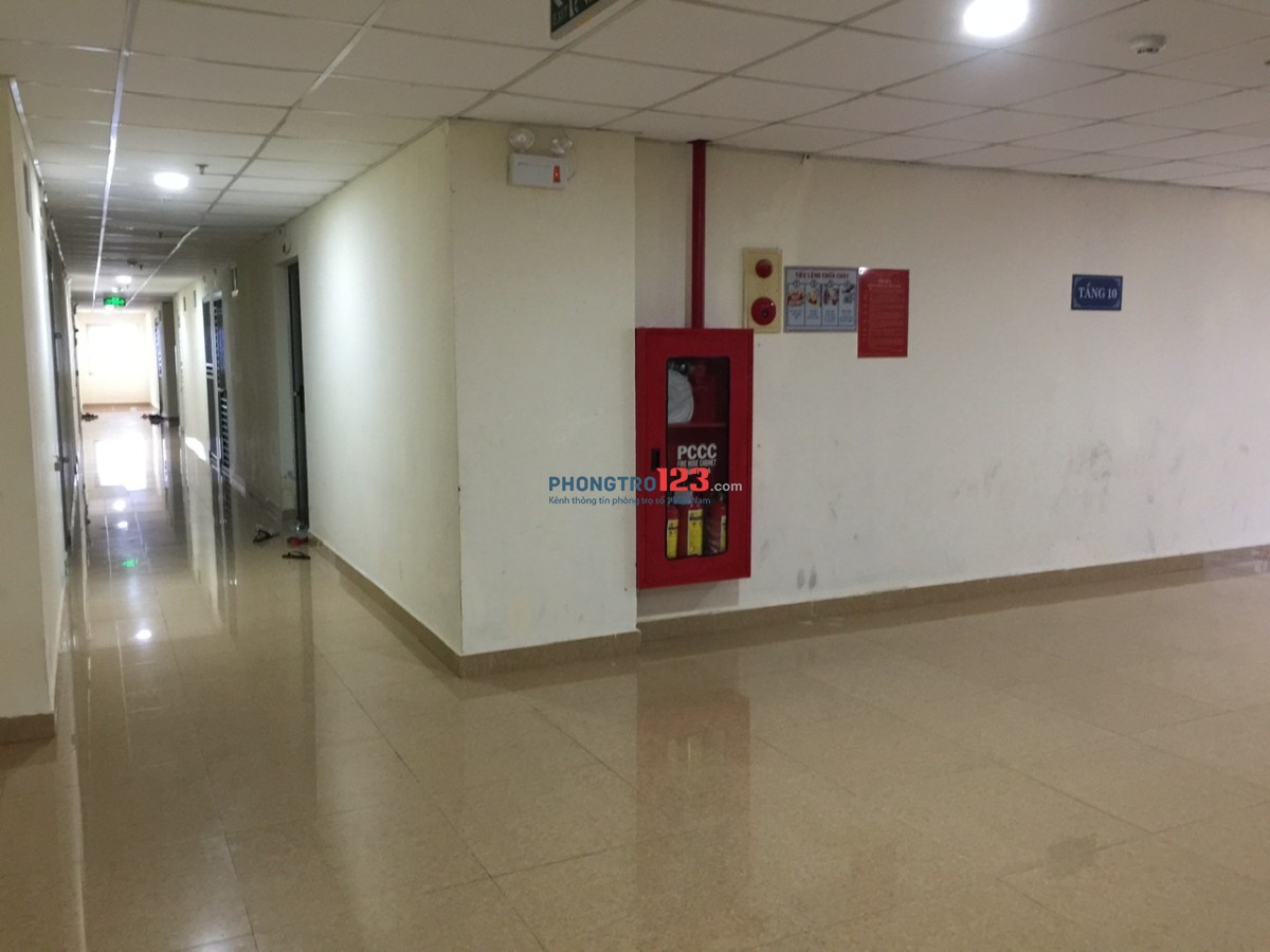 Cho thuê căn góc 72m2, 2 p ngủ, 2 vs, nội thất cơ bản