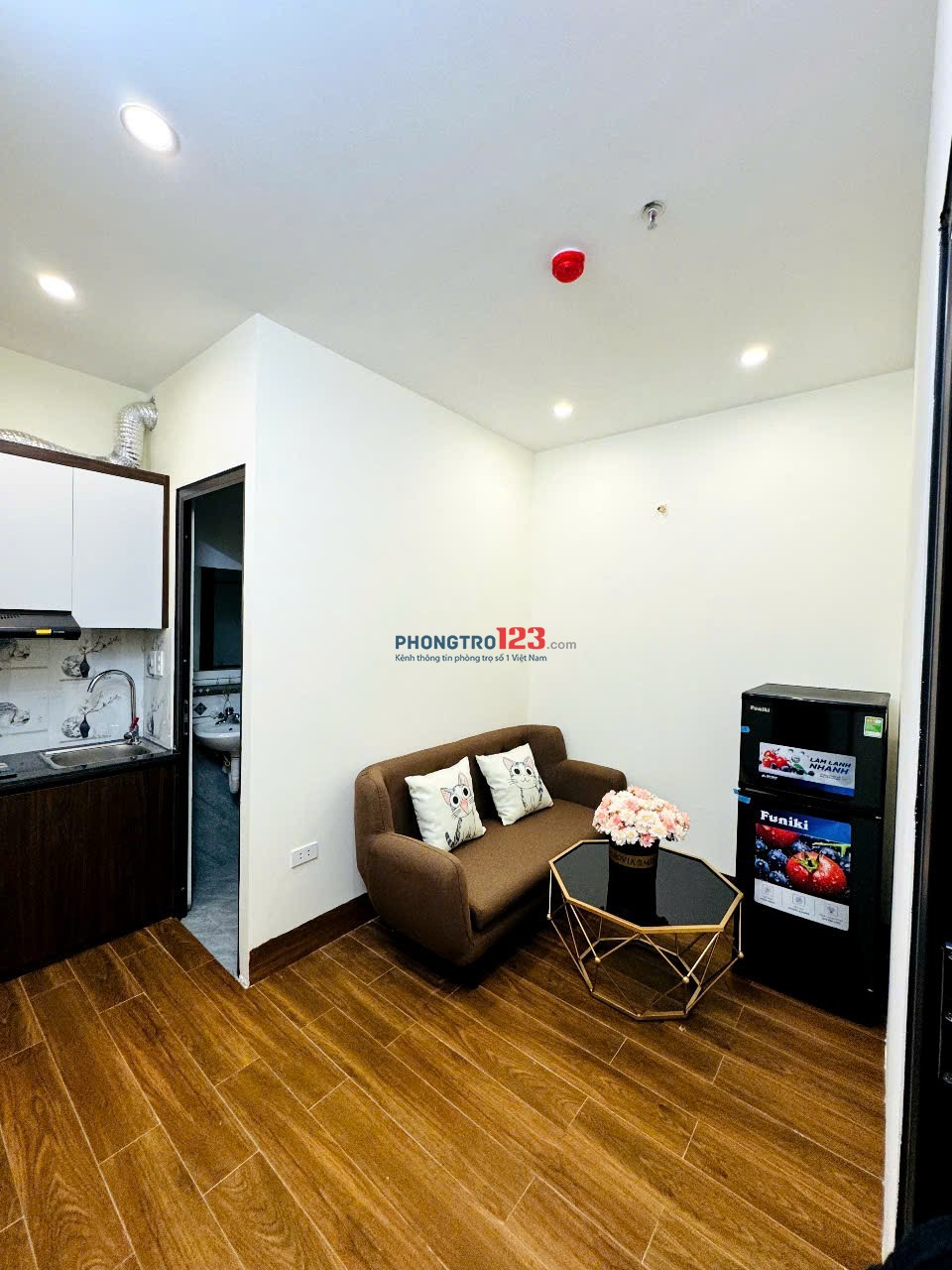Cho thuê căn hộ mini 1n1k và studio