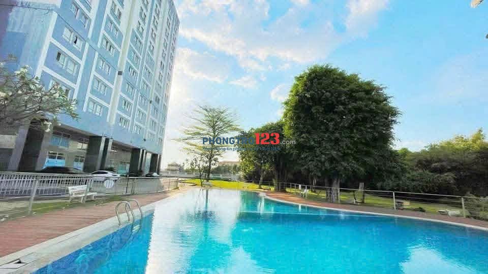 Cho thuê căn hộ nội thất đầy đủ vào ở ngay