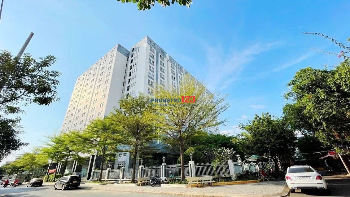 Cho thuê căn hộ nội thất đầy đủ vào ở ngay
