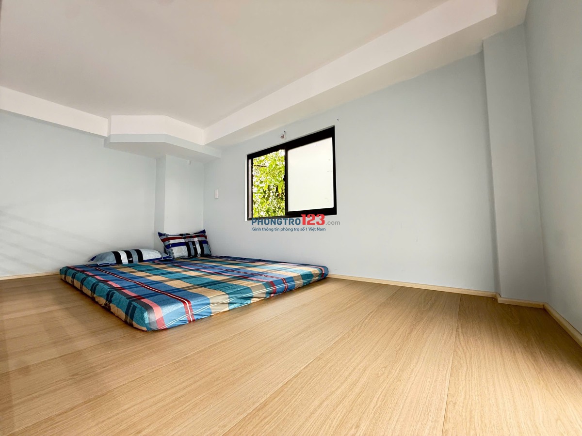 Dự án mới ngay kênh 19/5 Tây Thạnh Tân Phú 